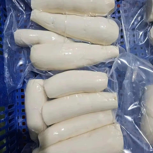 MANIOC CONGELÉ DE FOURNISSEUR DU VIETNAM DISPONIBLE EN QUANTITÉ EN VRAC POUR LE MARCHÉ MONDIAL D'EXPORTATION - Product Image 1