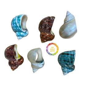 Élégant nacre ronds de serviette de luxe coquille incrustation porte-serviettes avec laiton pour les fêtes - Product Image 2