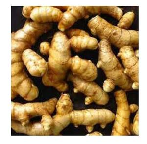 Extracto de CO2 de Ambehalad, producto de Extracto de planta Premium - Product Image 4