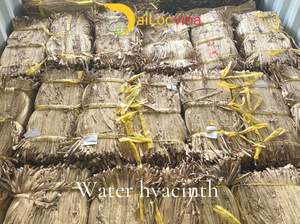 Jacinto de agua Ried utilizado para el almacenamiento del hogar y la cocina - Product Image 4