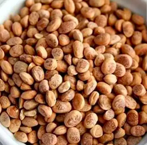 Hot Selling BS International Organic Indian