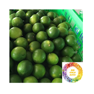 Limón Fresco Sin Semillas de Alta Calidad, Venta al por Mayor, Origen Vietnam, Exportación, Disponible para Compra al por Mayor - Product Image 6