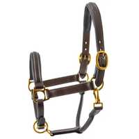 Harnais en cuir de qualité supérieure avec ferrures en laiton, durable et élégant, pour l'entraînement des chevaux, l'équitation anglaise, l'écurie et les concours, taille personnalisable