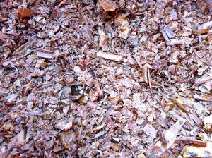 Premium Bulk Dried <b>Crab</b> <b>Shells</b> Cleaned Natural 5kg From Vietnam - Product Image 6