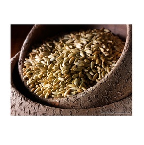 Mejor Precio de Fábrica de Granos de Centeno Orgánico Natural Disponible en Grandes Cantidades - Product Image 3