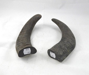 Cuerno de búfalo de buena calidad Punta blanca redonda Fabricante Calidad natural de cuerno de búfalo Puntas redondas Ágata para regalos y manualidades - Product Image 1