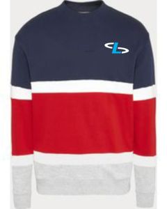 Sweats à capuche lourds OEM de haute qualité pour hommes et femmes Sweatshirts à col rond personnalisés unisexes brodés et imprimés Logo personnalisé - Product Image 4