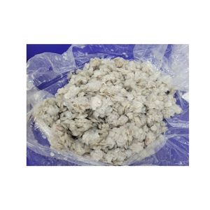 สารสกัดจากคอลลาเจนปลานิลแห้งจากโรงงานเวียดนาม - Product Image 2