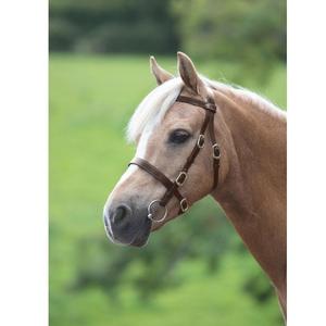 Precio barato, venta al por mayor, nueva tendencia, estilo de moda, último diseño, brida de cuero de caballo de alta calidad - Product Image 1