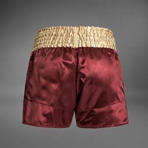 Artes marciales profesionales Muay Thai Boxing Shorts - Product Image 4