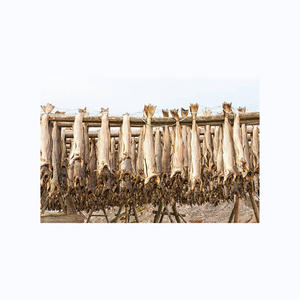 Grado de exportación Stockfish secado al sol sin cabeza empaquetado limpio proveedor a granel océano conservado Premium mariscos calidad entera - Product Image 4