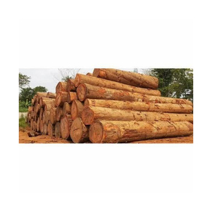 Troncos de ciprés Madera redonda Tipos de teca y acacia Carga a granel Fabricantes de leña Mejor precio Madera de pino seca 100% - Product Image 4