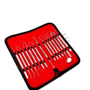Juego de herramientas dentales integrales profesionales Instrumentos de laboratorio de acero inoxidable para limpiezas Kits dentales - Product Image 1