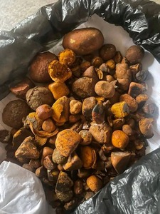 Cálculos biliares de buey a precio de fábrica suministrados en cantidad a granel para venta al por menor y comercio La mejor calidad - Product Image 2