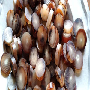 Espacios en blanco de botón de cuerno de búfalo natural para costura y artesanía - Product Image 4