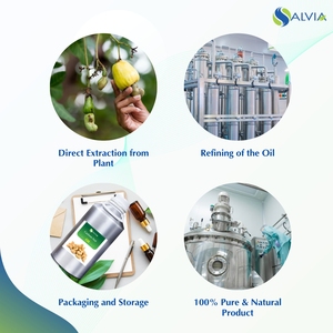 Huile de noix de cajou 100% pur et naturel en gros en vrac prix le plus bas emballage personnalisé - Product Image 4