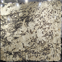 Grande dalle de granit naturel poli Dolce Vita au design moderne pour hôtels, restaurants et villas