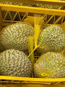 Vente en gros de durian congelé de haute qualité à bon prix exporté du Viet Nam - Product Image 6