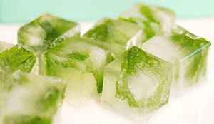 CUBOS DE ALOE VERA CONGELADOS DIRECTOS DE FÁBRICA DE VIETNAM CALIDAD PREMIUM - Product Image 5