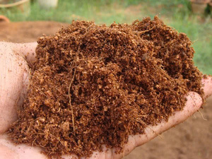 Medio de cultivo orgánico de turba de coco de Venta caliente con el mejor precio y composición limpia para un uso seguro-LOTO AZUL de Vietnam - Product Image 6