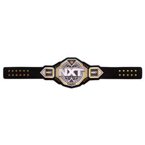 Women's Professional Fighting Championship <b>Belt</b> Comfortable Undisputed Title <b>Belt</b>-Factory Wholesale Nxt Championship <b>Belts</b> - Product Image 5