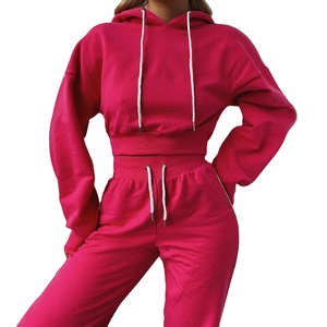 2025 Offre Spéciale dames sweat à capuche court vêtements d'entraînement ensembles Logo personnalisé brodé solide motif survêtements pour filles pour l'hiver Air - Product Image 4