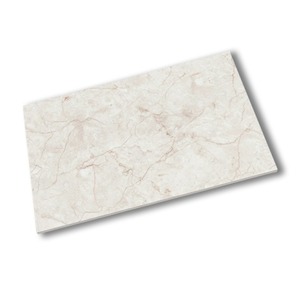 Azulejo de Pared Cerámico Digital Brillante de 25x40 cm para Interiores, Interiores Modernos, Superficie Elegante con Acabado Liso para Uso Doméstico - Product Image 5