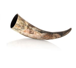 Cuerno para Beber Cerveza Vikingo Tallado Ecológico, Hecho a Mano en Europa, Estilo Animal Personalizado al Mejor Precio - Product Image 2