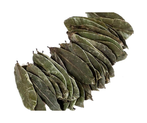 Hoja de Guanábana Seca de Alta Calidad, Hoja de Guanábana Seca Seleccionada para el Procesamiento de Té de Hierbas y Venta al por Mayor de Hoja de Guanábana Seca - Product Image 1