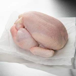 Proveedor Premium de Pollo Entero Congelado Halal - Product Image 5