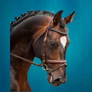 Brida de caballo ecuestre de estilo protector duradero - Product Image 2