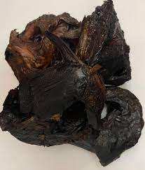 Export Grade Dried Whole <b>Cuttlefish</b> Sugar-Free & Trans-Fat Free 10kg Pack with Natural Taste and Aroma - Product Image 2