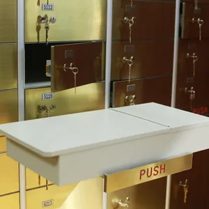 Safe Deposit Box Bullion Locker Gold Plate Door Panel And With Lockable Inner Box