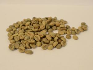Nuevo Precio de Fábrica, Granos de Café Verde Robusta de Primera Calidad, 100% Natural, Puro, Orgánico, Cultivo de Alta Calidad, Compre Ahora Italvi - Product Image 3