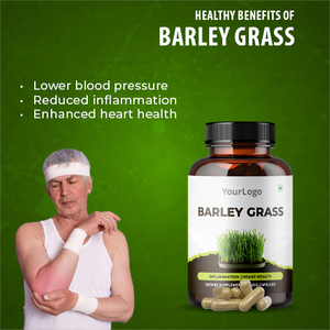 Capsule d'extrait d'herbe d'orge de meilleure qualité 100% Capsules de qualité supérieure certifiées biologiques Supplément en gros - Product Image 2