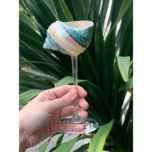 Uso de altura para vajilla de boda restaurante Martini Cup decoración Vietnam pulido Turbo Seashell copas de vino copas 20cm. - Product Image 6