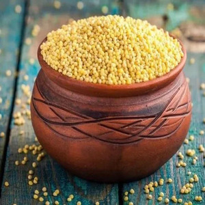 LITTLE <b>MILLET</b> NOODLES WITH TOP QUALITY BEST FOR BIRD FEEDING ENRICHED WITH HIGH PROTIEN PACKED AND PROCESSED FROM INDIA - Product Image 2