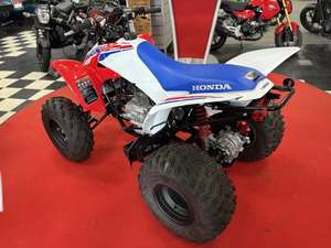 Offre Annuelle 2025 – Nouvelles Motos Honda TRX250X (Jeunesse) - Product Image 3