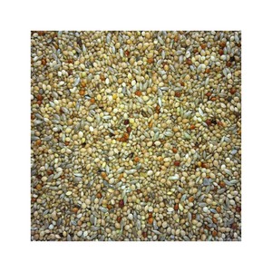 100% graines de colza crues naturelles pures décortiquées produit agricole - Product Image 4