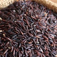 TOP VENTES RIZ NOIR GLUTINEUX EN VRAC FOURNITURE EN GROS PRODUIT NATUREL DE QUALITÉ SUPÉRIEURE PRIX D'EXPORTATION