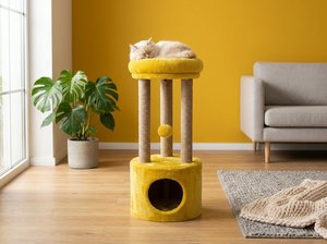 Torre para Gatos Atlanta Honey Gold con Sunny Joy - Product Image 2