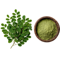 Poudre de feuilles de Sidr naturelle pour favoriser la croissance des cheveux et nettoyer la peau, masque facial à base de plantes, ingrédient végétal pour usage quotidien