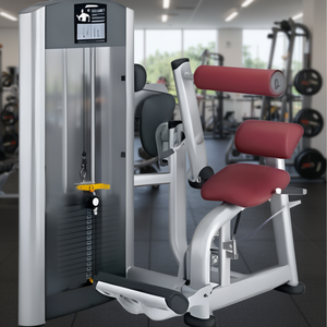 Máquina de Extensión Lumbar FZBE Remanufacturada para Entrenamiento de Fuerza en la Espalda Baja, Equipo de Gimnasio en Casa - Product Image 3