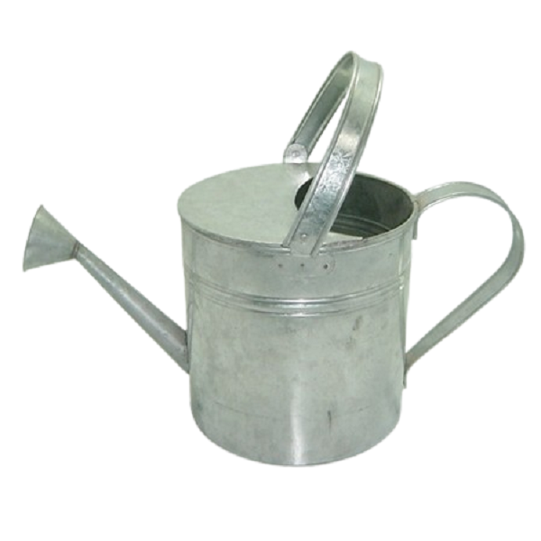 แสดงภาพ