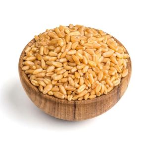 Grano de Trigo Premium en Venta, Grano de Trigo Fresco de Alta Calidad Disponible en Pedidos al por Mayor para Venta al por Mayor y Exportación - Product Image 3