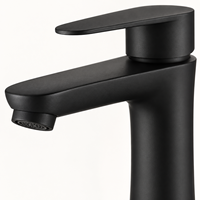 Robinet de salle de bain moderne WYRAX en acier inoxydable brossé à trou unique, à poser sur le comptoir, idéal pour salon et salle de sport - Vente chaude