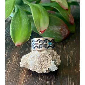 Anillo de Turquesa Navajo Hecho a Mano con Diseño de Tortuga en Plata de Ley y Múltiples Piedras, Talla 4.5, Joyería para Uso Diario, IGI - Product Image 1