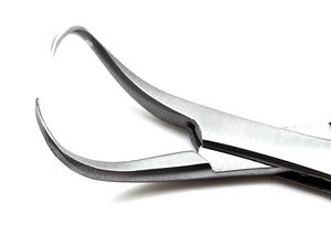 Pinzas de sujeción para toallas Veterinaria Backhaus, instrumentos superiores de acero inoxidable de 3,5" - Product Image 5