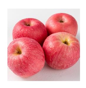 Fournisseur d'exportation de pommes Fuji biologiques fraîches à prix avantageux Pommes rouges de qualité supérieure en provenance du Portugal - Product Image 1