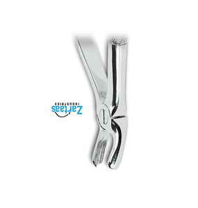 Fórceps extractores de acero inoxidable de alta calidad molares superiores izquierda para niños Fig. Exportadores y fabricantes de 39L - Product Image 2